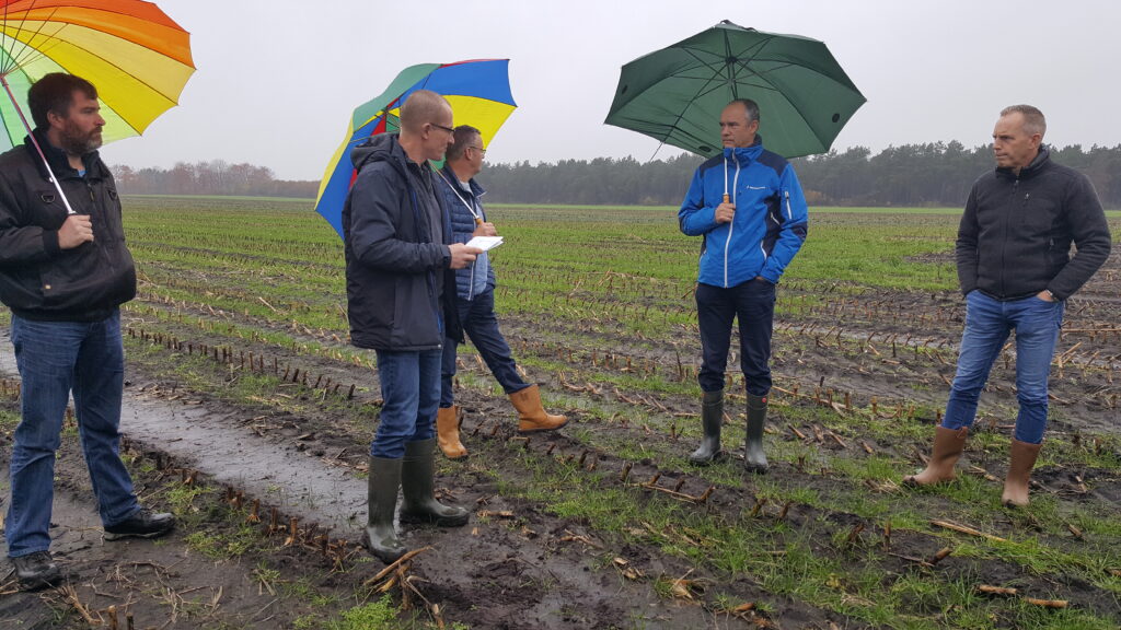 demonstratieproject ‘Grondig Boeren met Mais’ in Drenthe werken Wageningen University & Research en bedrijfsleven samen aan alternatieve duurzame teeltmethodes voor gangbare maïsteelt in Drenthe. Melkveehouder Kievit uit Bunne is een van de negen satellietbedrijven die deelneemt.