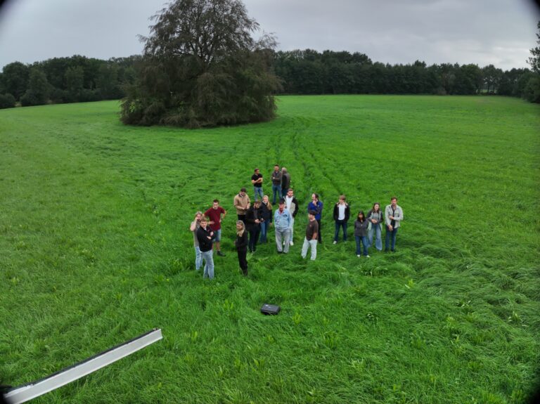 groep mensen op grasland