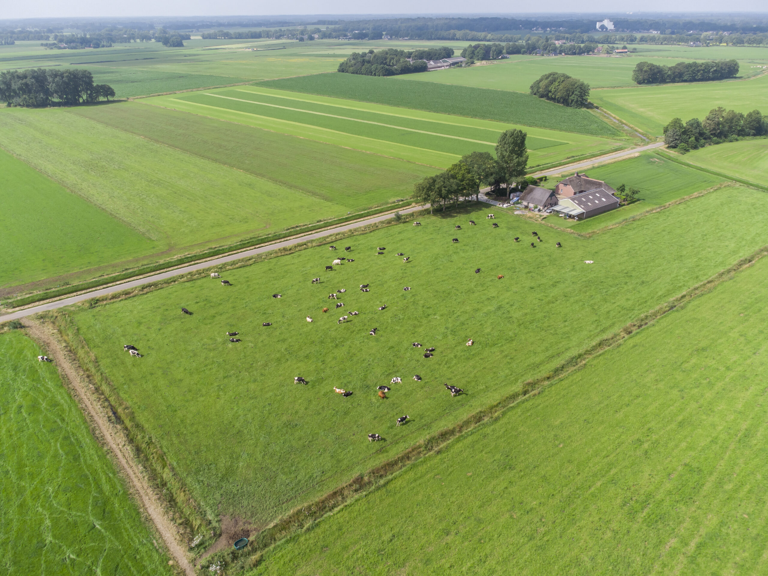 luchtfoto Overijssels landschap weilanden