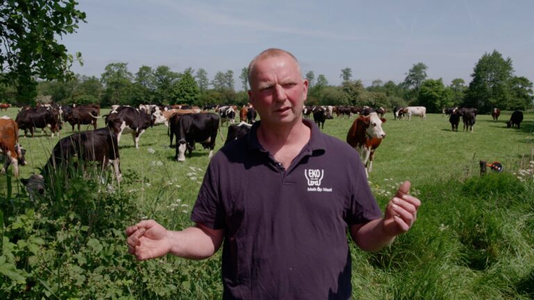Boer vertelt voor weiland met koeien