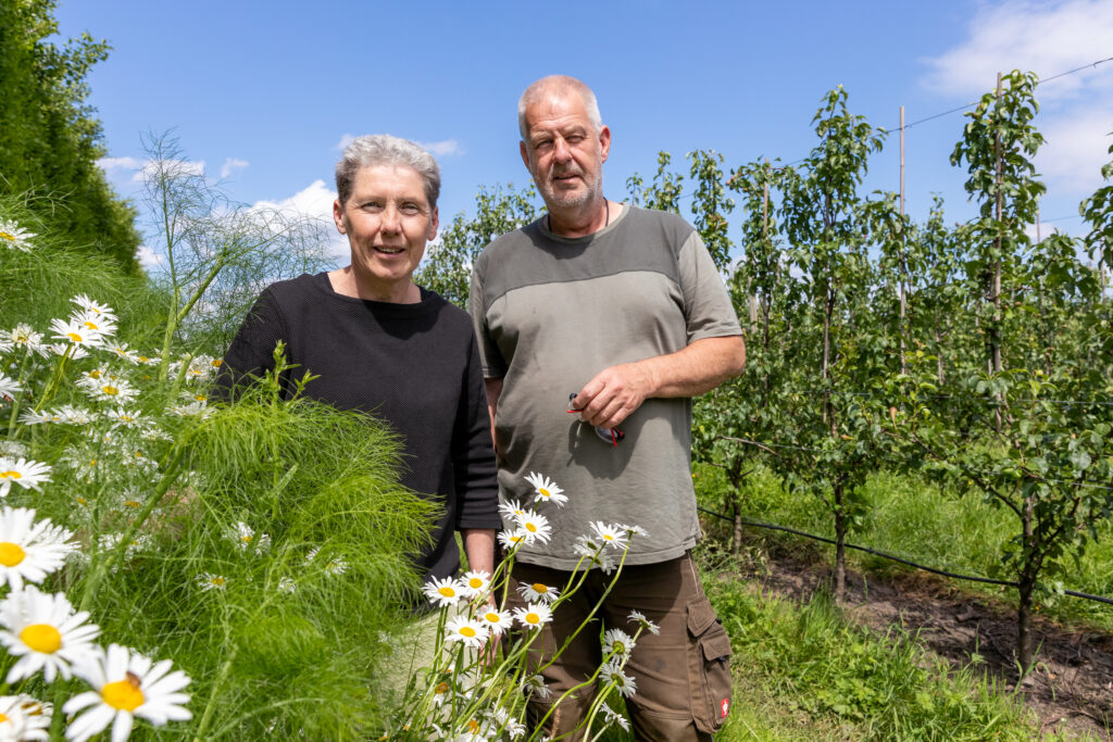 Fruitteeltbedrijf Bas en Lena Zevenbergen
