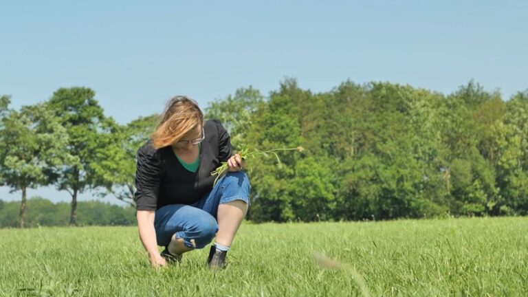 Boerin in weiland plukt gras op hurken