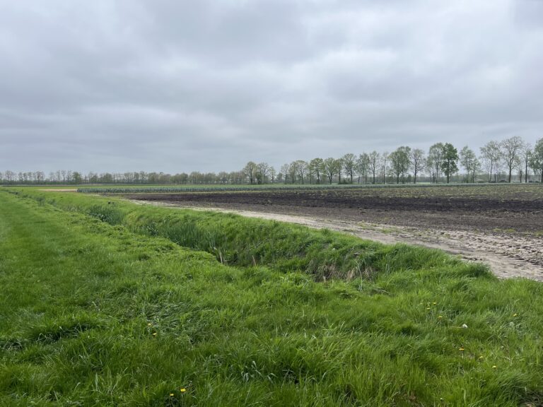 Perceel met sloot en drainagesysteem in Limburg