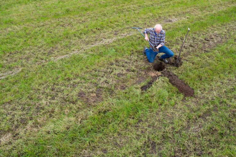 Een profielkuil graven samen met de DAW bodemadviseur geeft inzicht en nieuwe kennis.