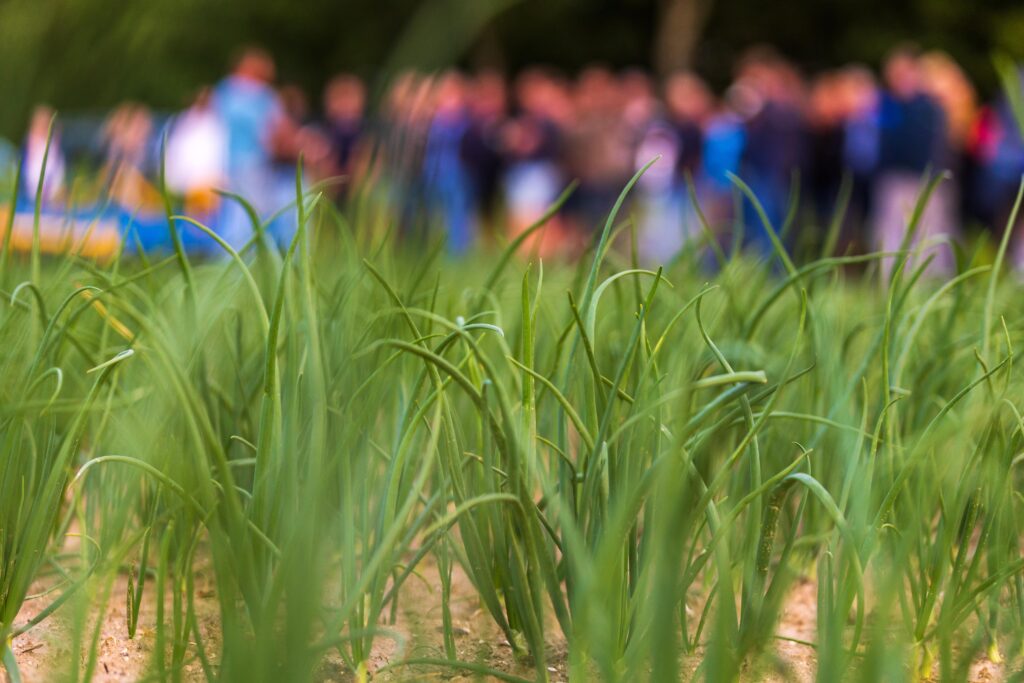 gewas met groep mensen op achtergrond