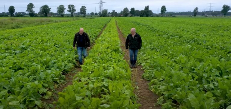 Akkerbouwer en melkveehouder werken samen.