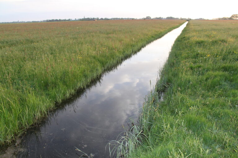 Sloot kruidenrijk waterkwaliteit verbeteren