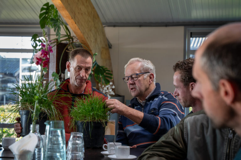 Bodem als Basis, groepsbijeenkomst met bekijken graspol