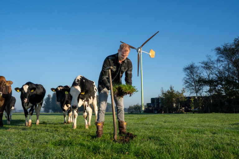 Bodem als basis profielkuil koeien