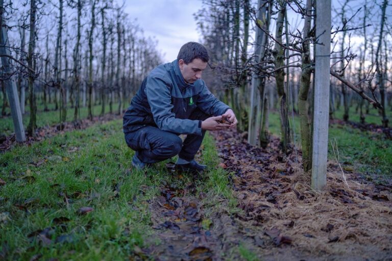 bodem als basis fruitteelt bodemverdichting