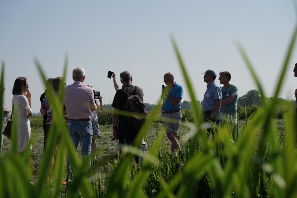 DAW Kllimaatkaravaan Zuid-Holland - in het veld, excursie, groep mensen