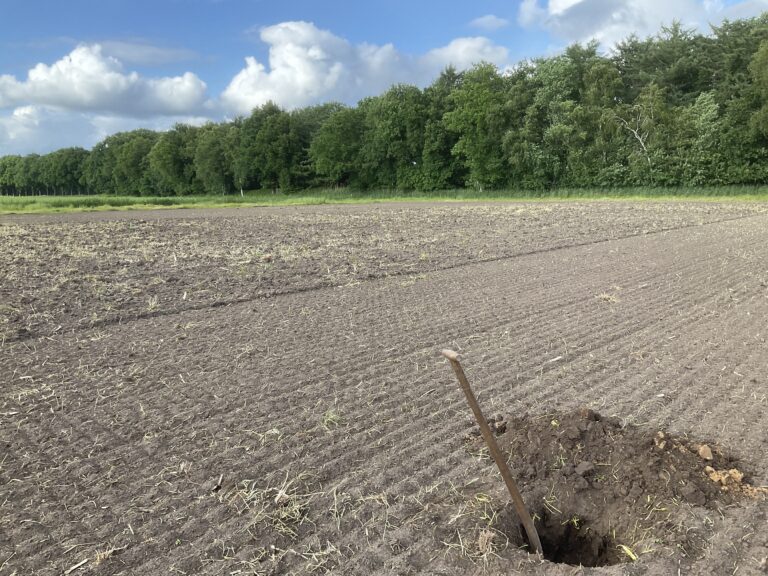 foto van profielkuil
