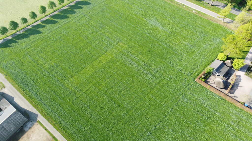 Dronefoto weiland met klavers