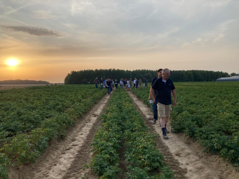 mensen in aardappelveld