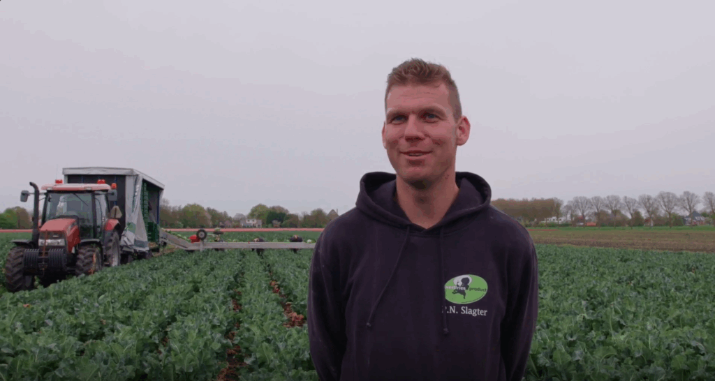akkerbouwer Pé Slagter op bloemkolenveld