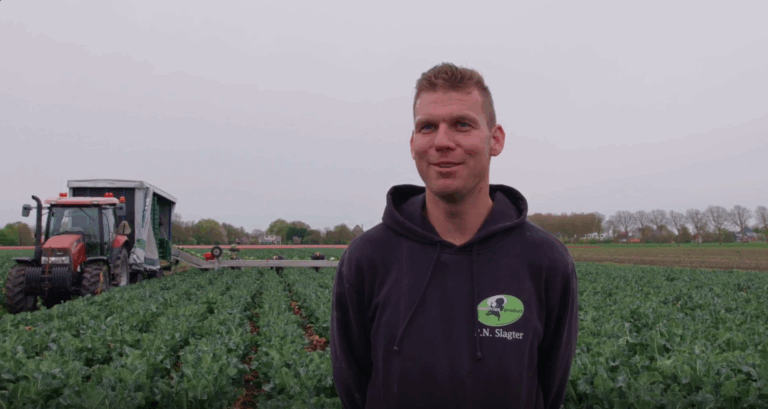 akkerbouwer Pé Slagter op bloemkolenveld