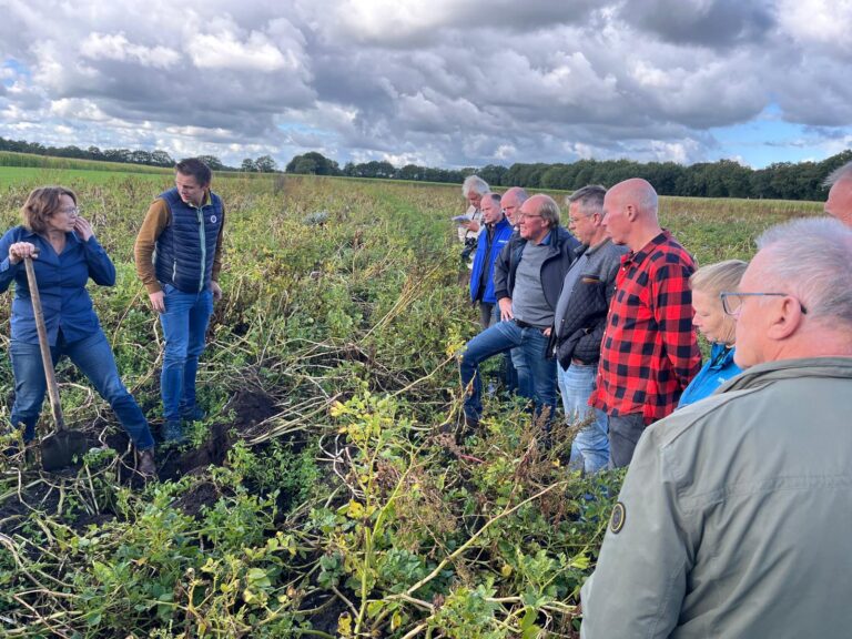 Boeren in het veld