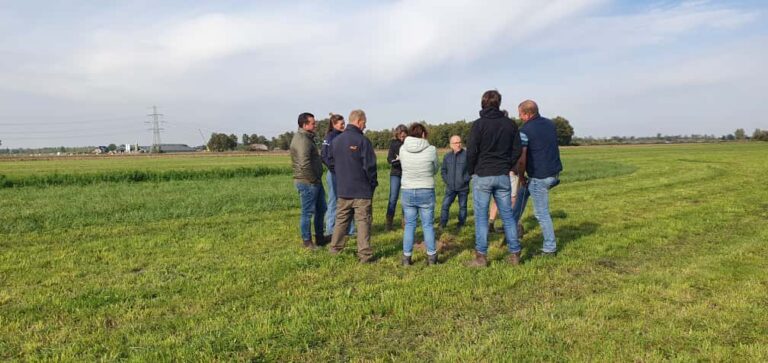 Bijeenkomst kruidenrijk grasland 2 oktober 2025 - mensen in veld