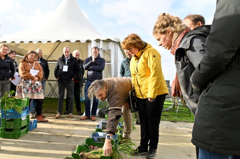 Mensen bij bodemevent
