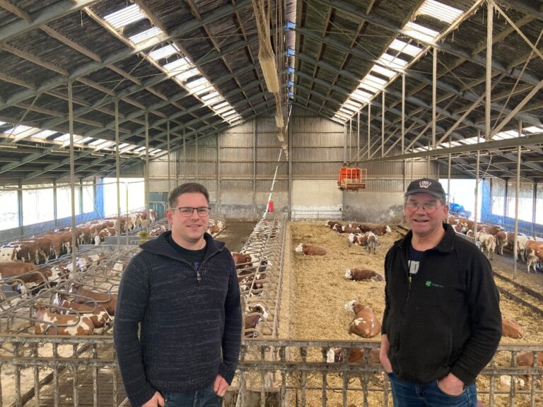 melkveehouders in stal