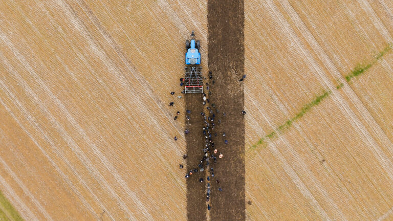 Demo groenbemester onderwerken-6