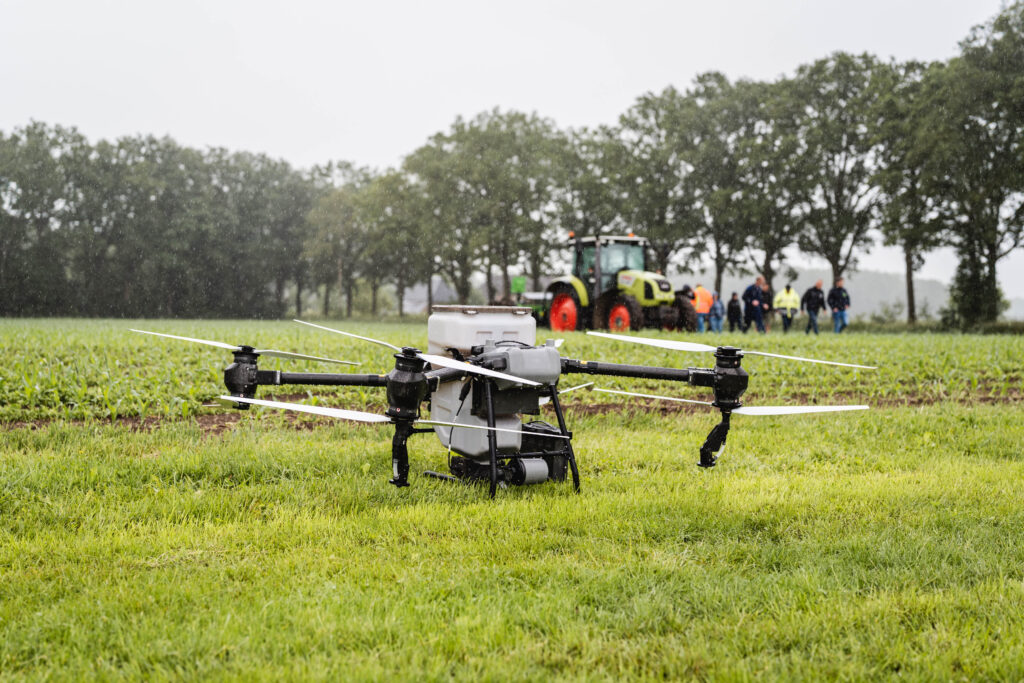 drone in grasland