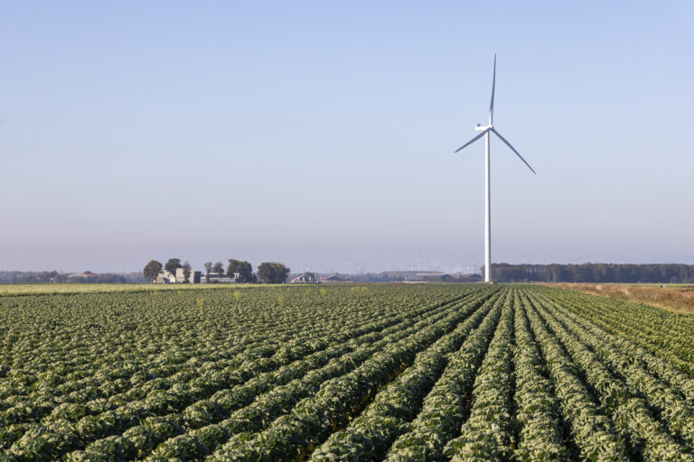 landschap flevoland flevopolder